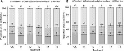 Zinc oxide nanoparticles enhanced rice yield, quality, and zinc content of edible grain fraction synergistically